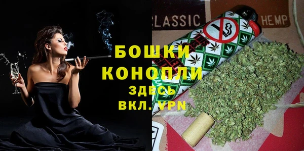 крисы Бронницы