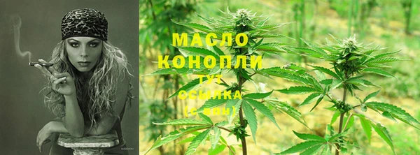 крисы Бронницы