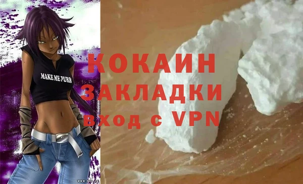 крисы Бронницы