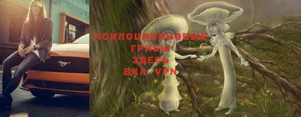 альфа пвп Бородино